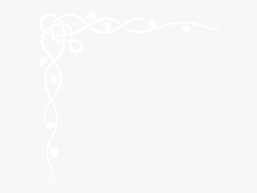 Johns Hopkins White Logo, HD Png Download