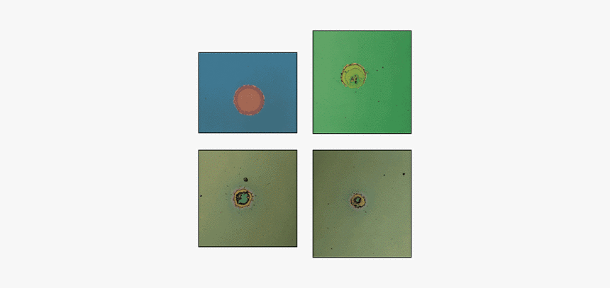 Circle, HD Png Download