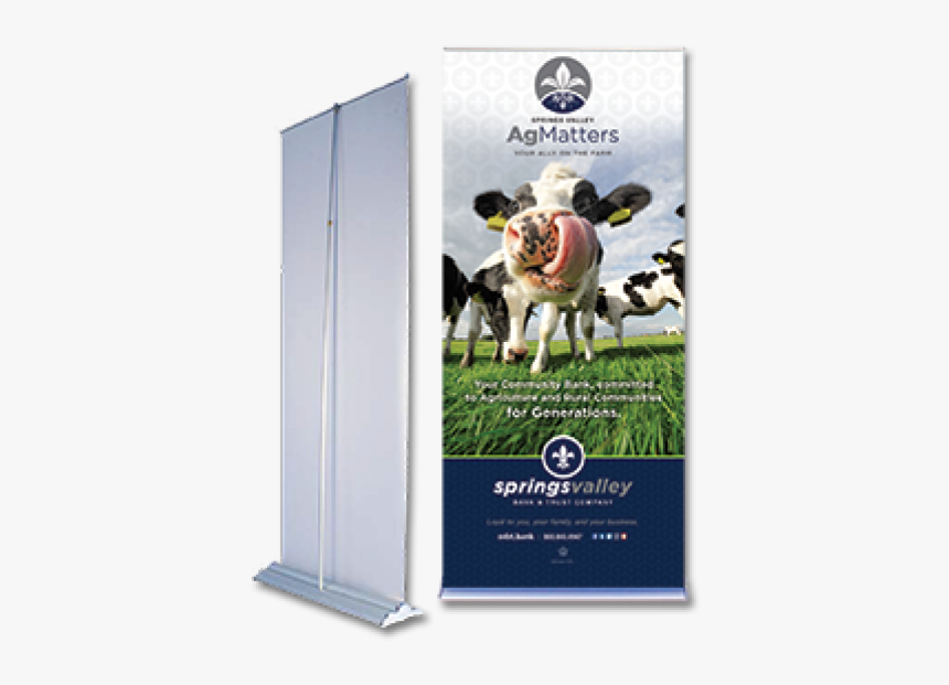 Funny Pictures Of A Cow, HD Png Download