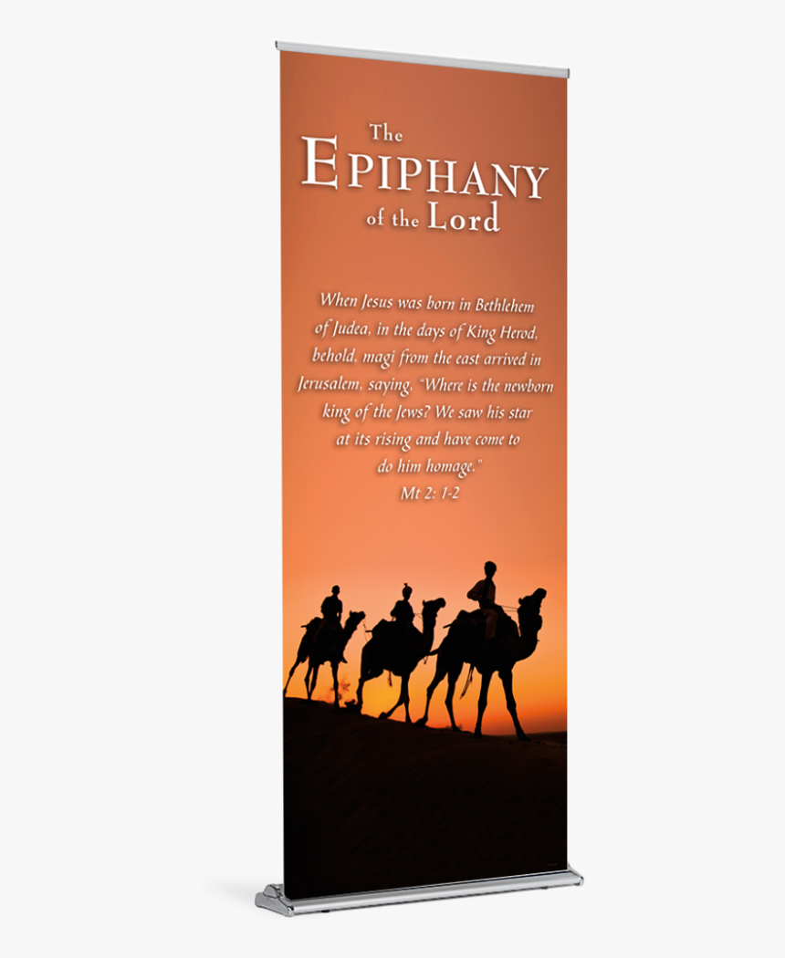 Arabian Camel, HD Png Download