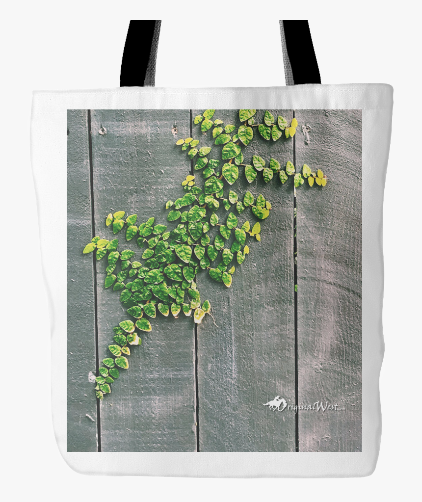 Minimalist Tree Photography , Png Download - Vine Growing On Wood Wall, Transparent Png