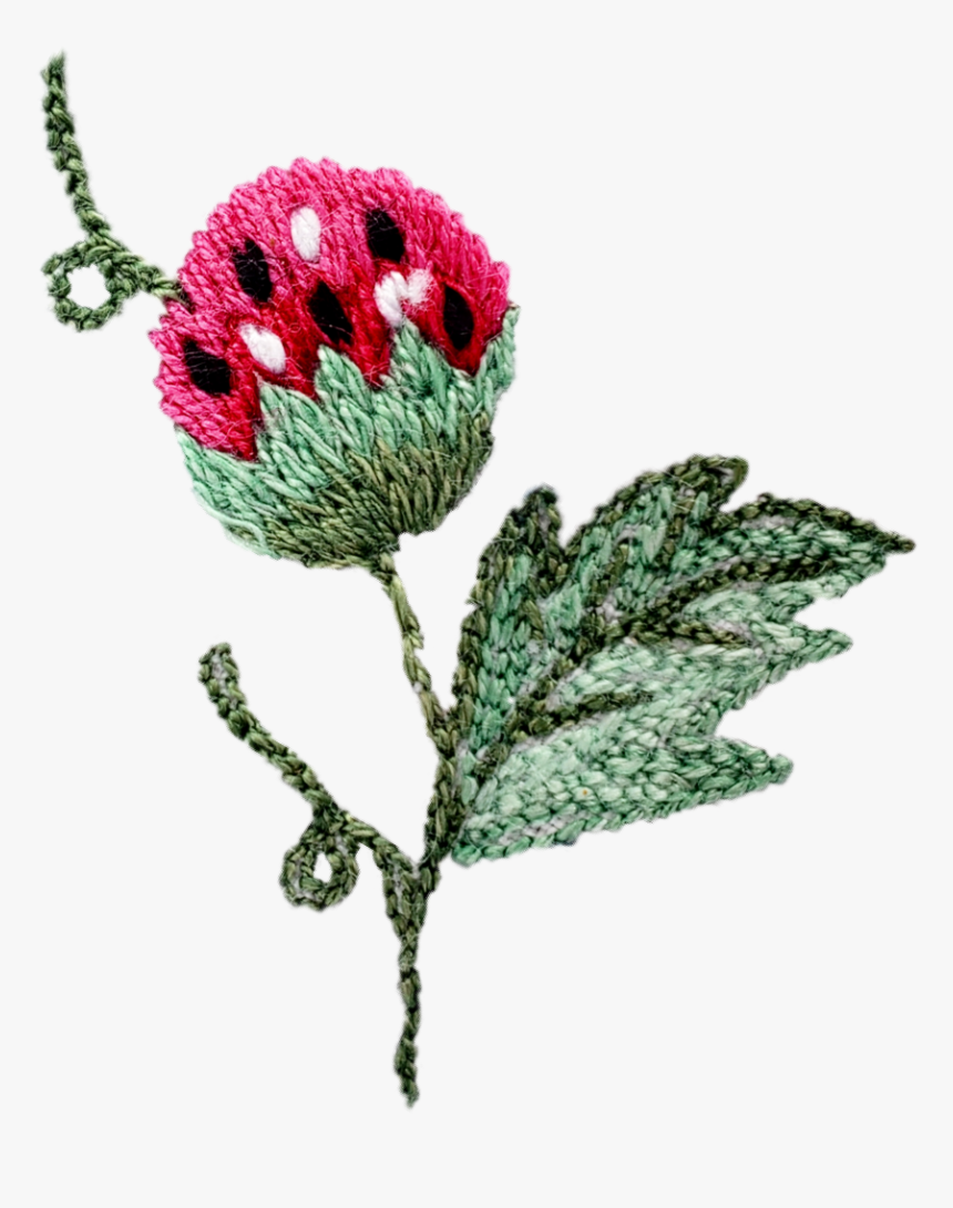 #scembroidery #strawberry #green #vine #fruit - Cross-stitch, HD Png Download