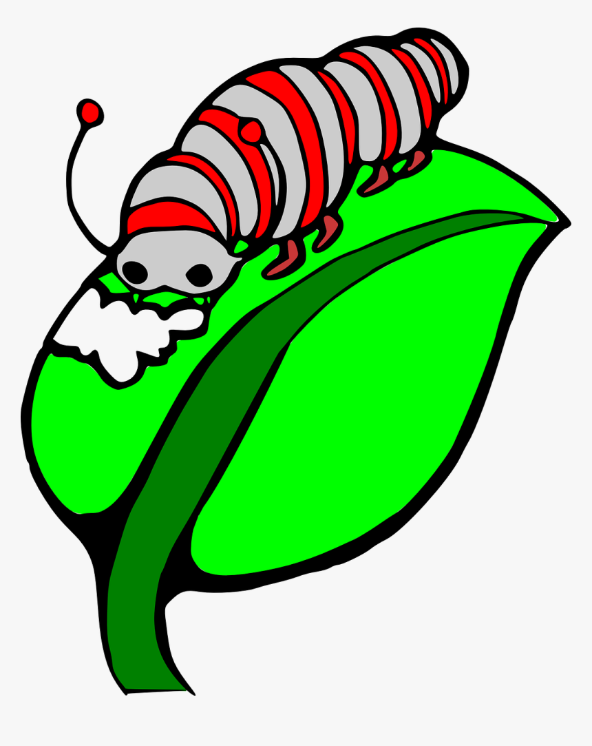 Caterpillar On A Leaf Clipart Panda Free Images - Caterpillar Eating Leaf Cartoon, HD Png Download