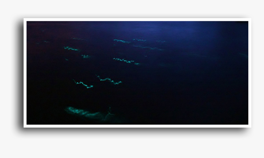 Bermudas, HD Png Download