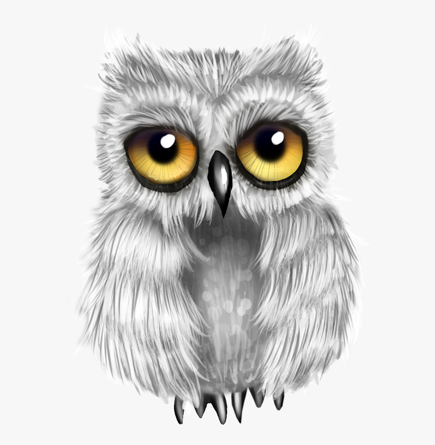 Owls Png, Transparent Png