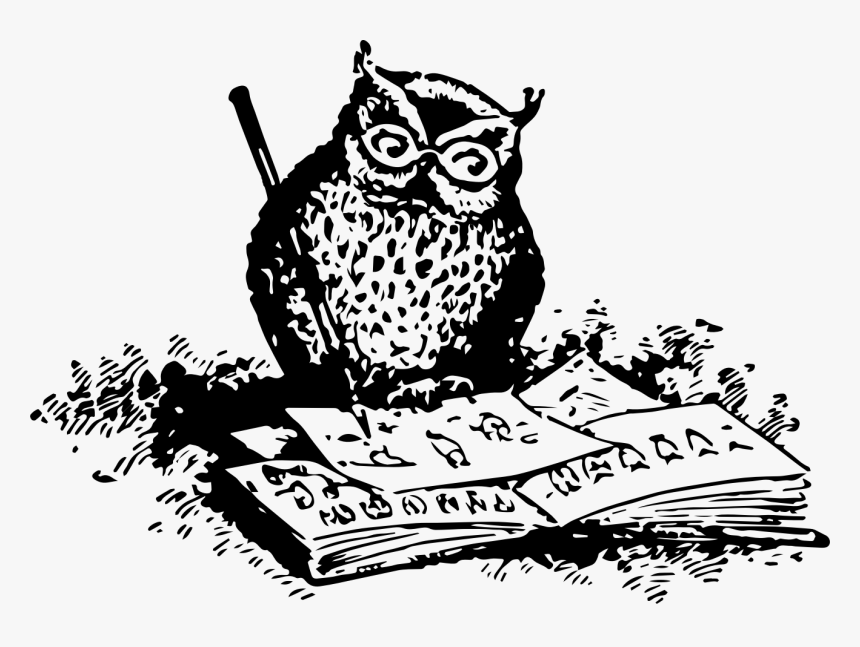 Owl Drawing Clip Art - Png Owl Drawing, Transparent Png