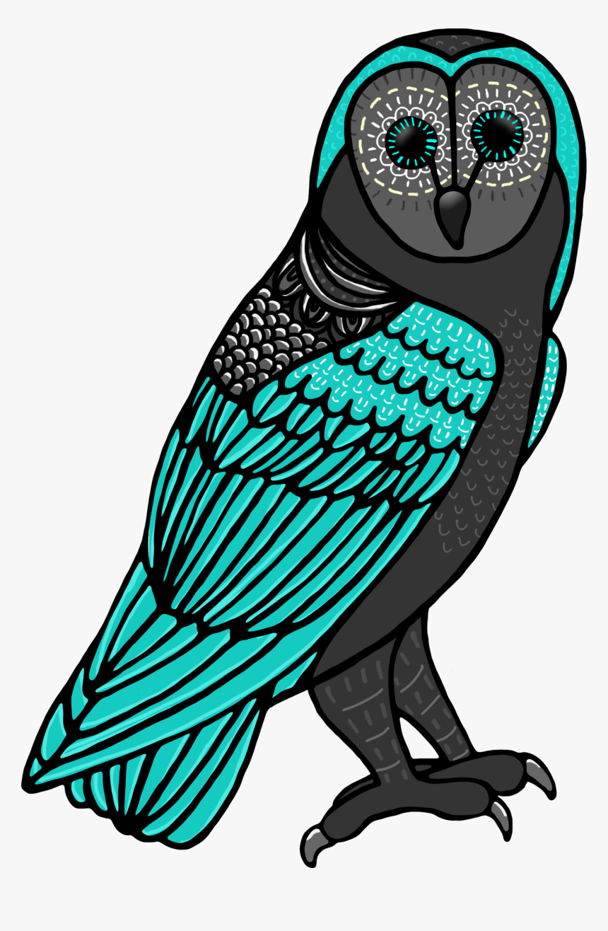 Ch De Teachers Pay Teachers Cute Owl Owls Clip Art - Illustration, HD Png Download