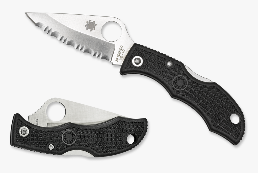 Спайдерко Ледибаг, HD Png Download