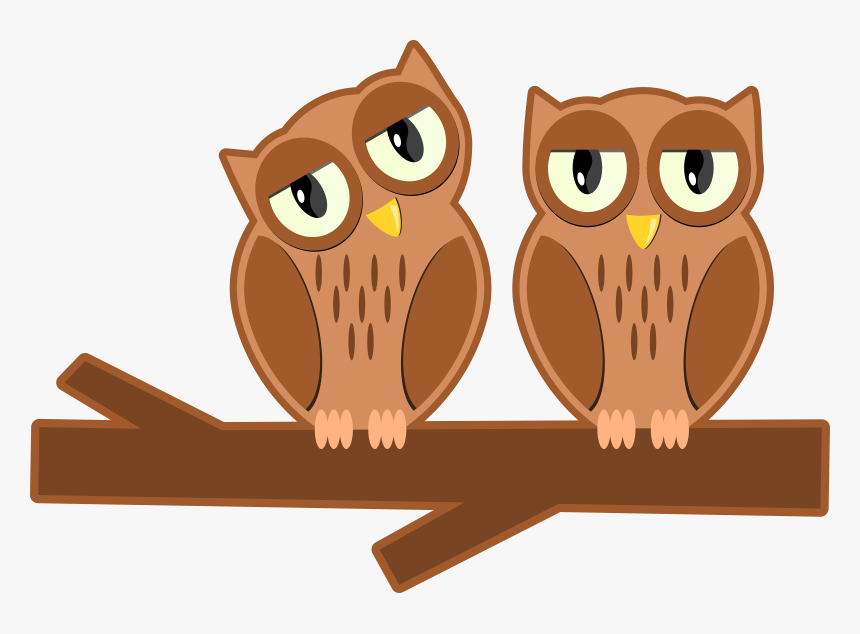 Owls On A Branch - Cartoon, HD Png Download