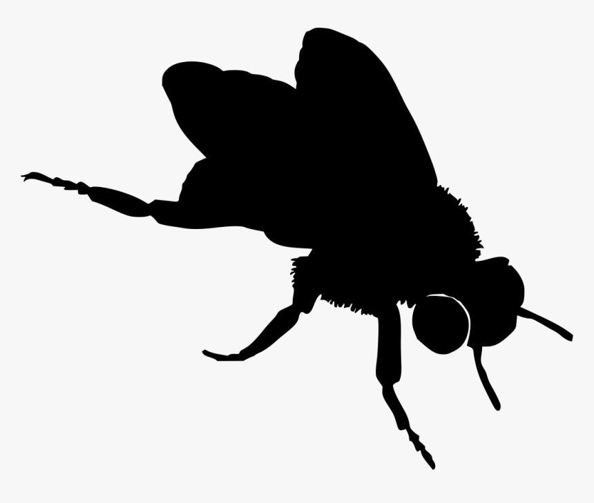 Bumble Bee Drawing, HD Png Download