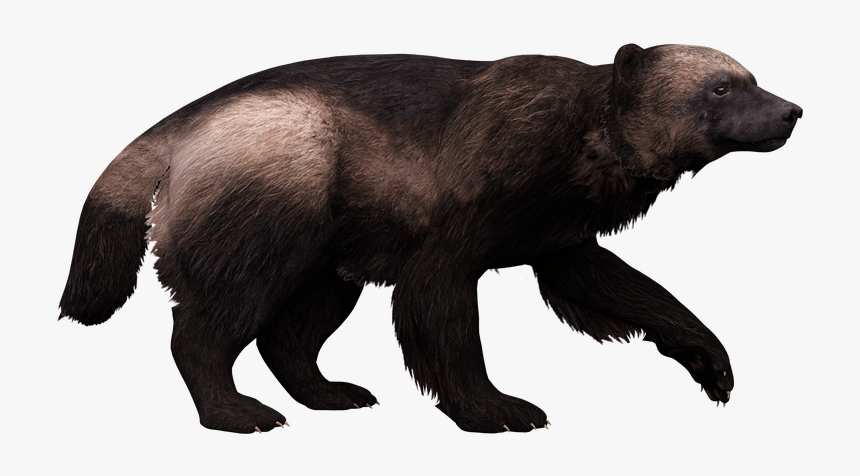 Punxsutawney Phil, HD Png Download