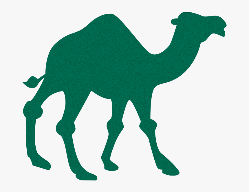 Transparent Camel Silhouette, HD Png Download