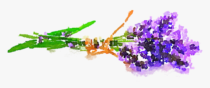 Lavender Clipart Watercolor - Watercolor Painting, HD Png Download