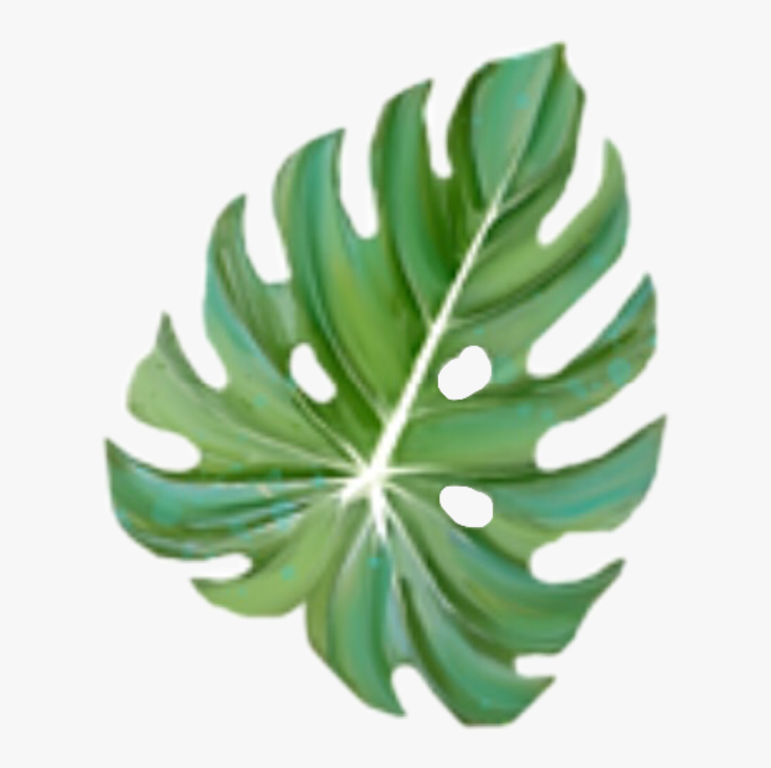 #freetoedit #monstera #leaf - Christmas Tree, HD Png Download