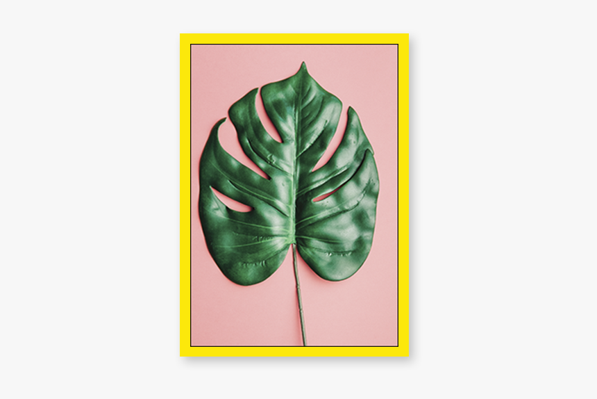 Minimalist Leaf, HD Png Download