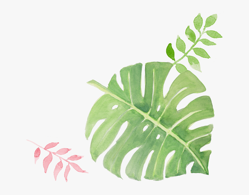 Illustration, HD Png Download