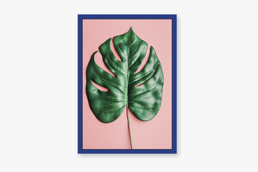 Minimalist Leaf, HD Png Download