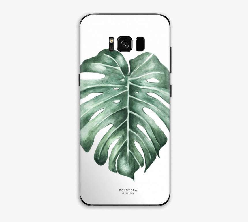 Monstera Deliciosa Skin Galaxy S8 Plus - Kunstdruck Pflanzen, HD Png Download