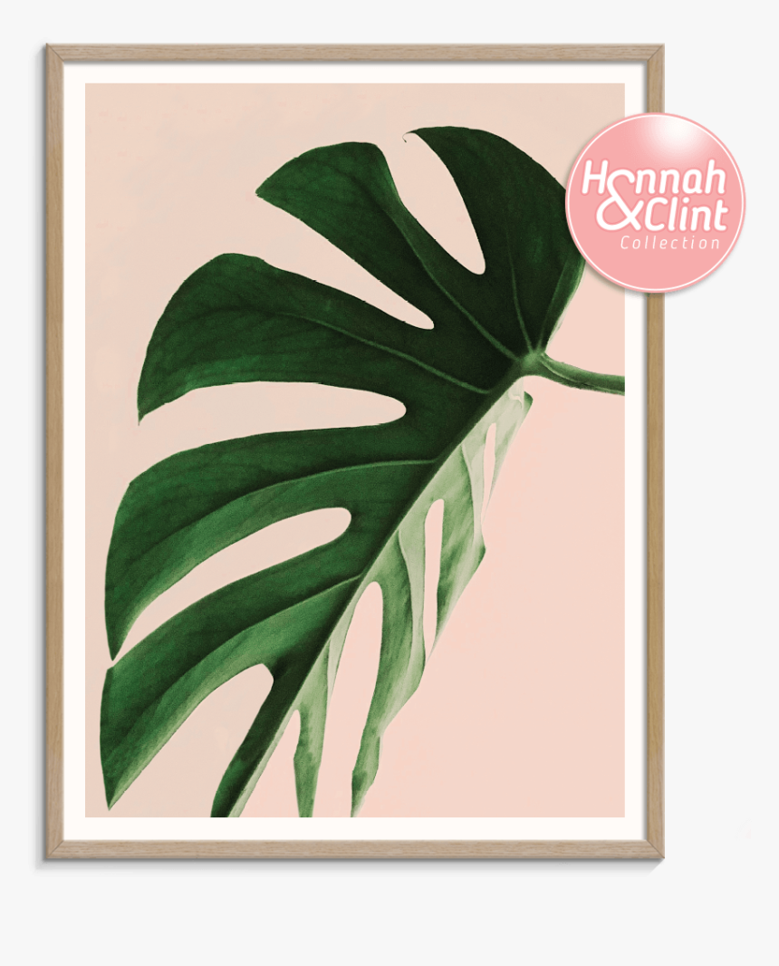 Proud Leaf - Plakat Monstera, HD Png Download