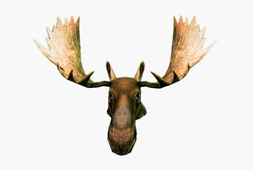 Moose Head Png, Transparent Png