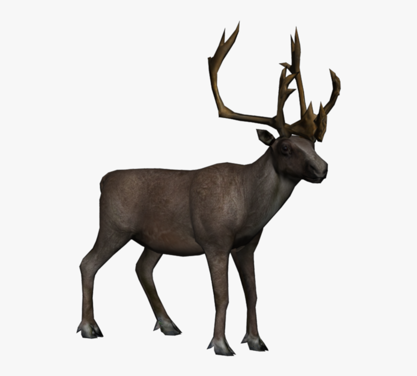 Elk Background Moose Transparent - Caribou Transparent Background, HD Png Download