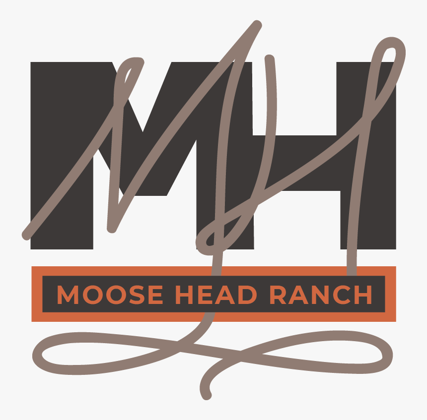 Wood, HD Png Download