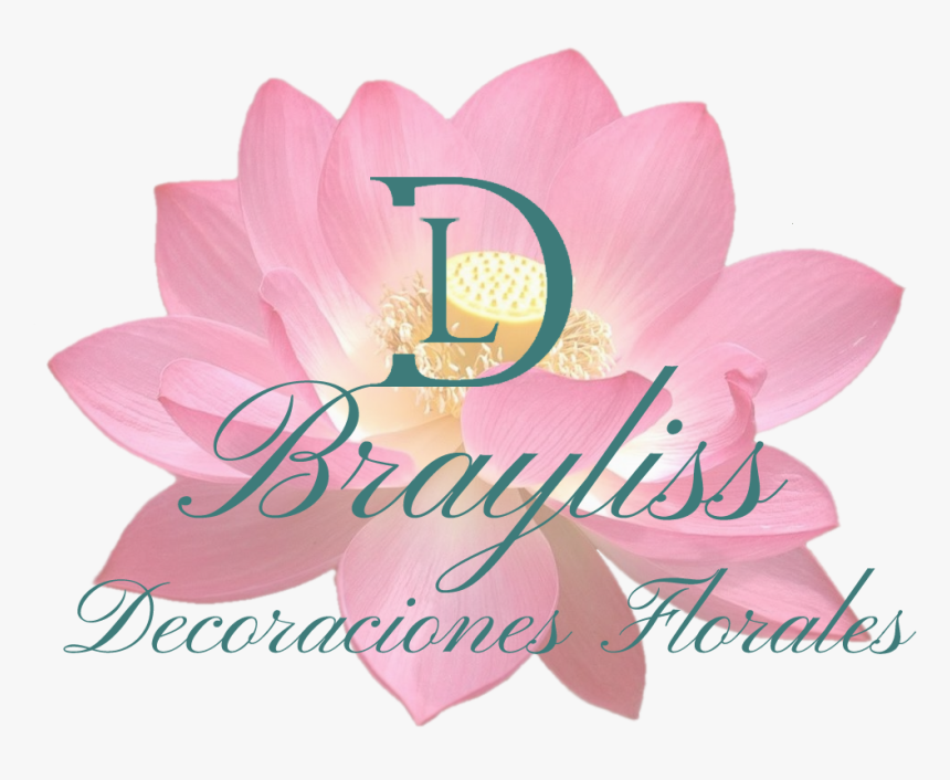 Sacred Lotus - Medinah Country Club, HD Png Download