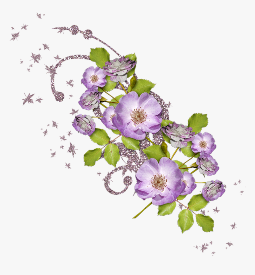 Portable Network Graphics, HD Png Download