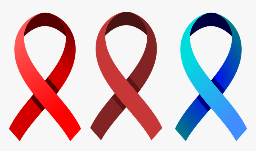 Escamas De La, Vector, Decoración, Arco, Decoraciones, HD Png Download