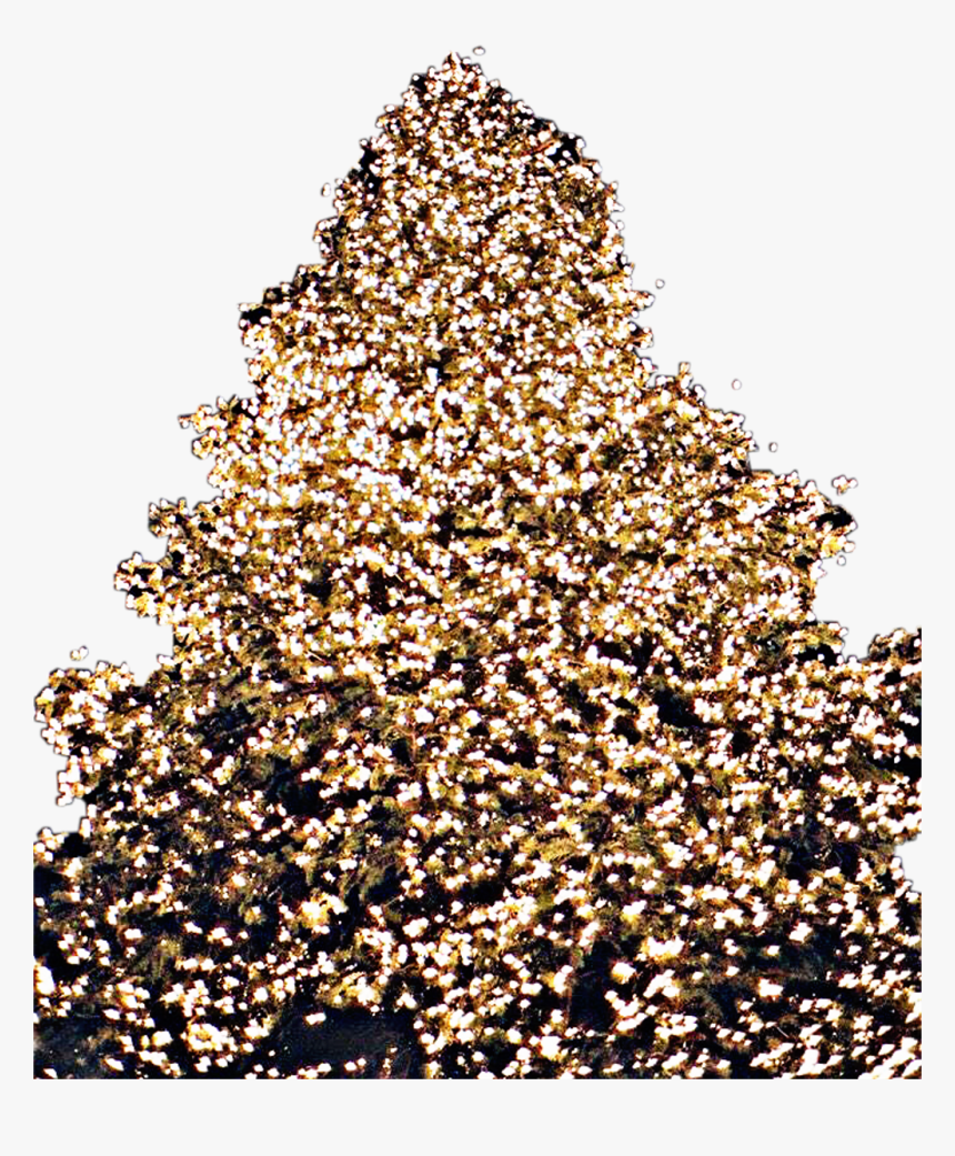 #christmas #tree #lights #christmastree #freetoedit - Christmas Tree, HD Png Download