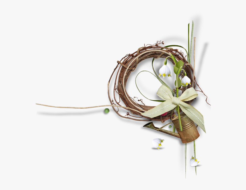 Lily Family, HD Png Download