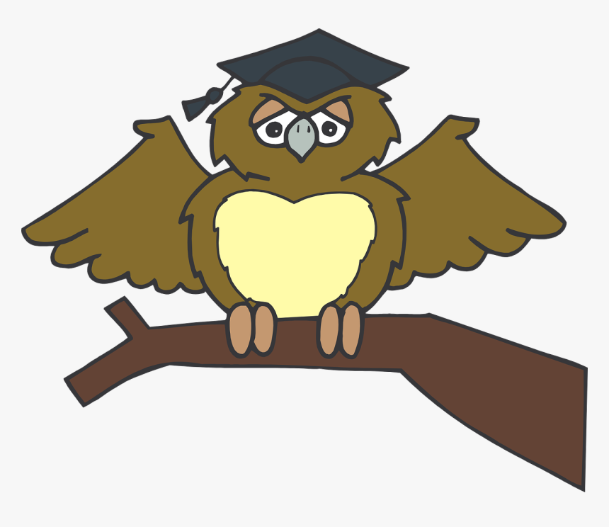 Gufo Laurea Png, Transparent Png