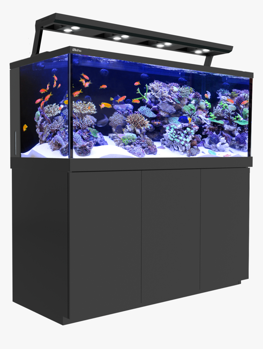 Transparent Fish Tank Png - Red Sea Reefer Deluxe 450, Png Download
