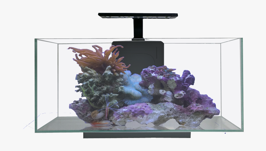 Jbj 10g Desktop Flat Panel - Jbj Rimless 10g, HD Png Download