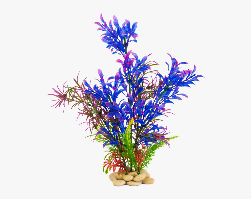 Plants For Aquarium Png, Transparent Png