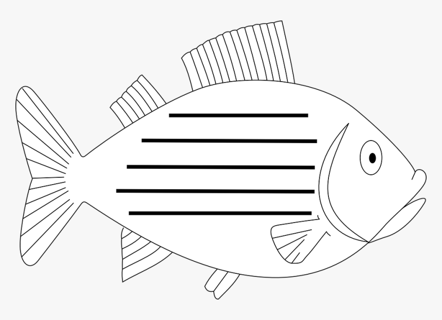 Fish, Aquatic, Fin, Vertebrate, Sea, Swim, Animal - Pomacentridae, HD Png Download