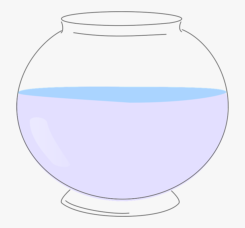 Bowl, Water, Glass, Empty, Round, Fish, Pet, Goldfish - Circle, HD Png Download