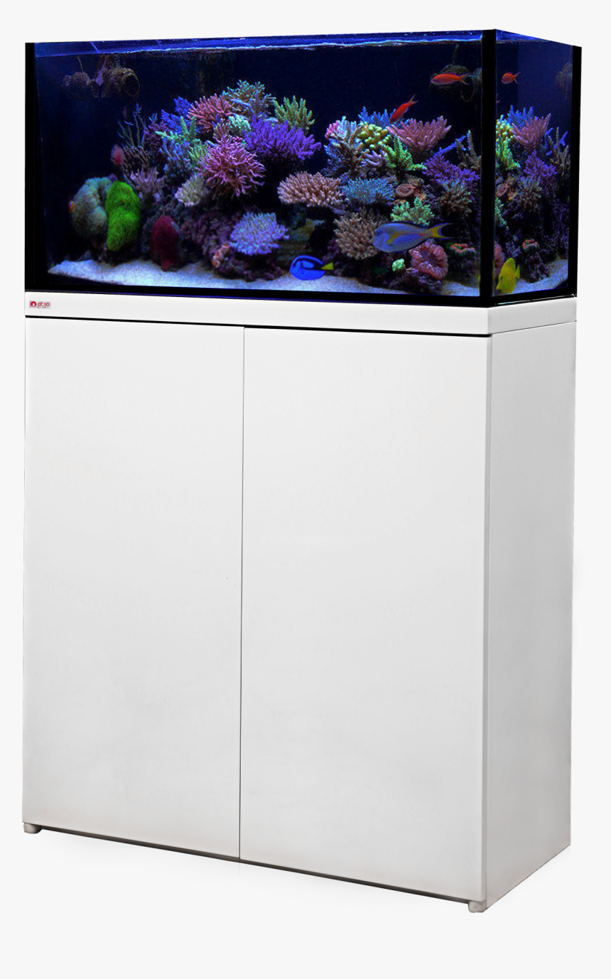 Reef Octopus Fish Tank, HD Png Download