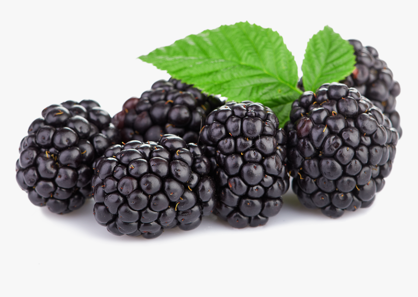 Transparent Boysenberry Png, Png Download