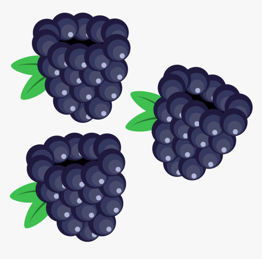 Berry Vector Blackberry - Blackberry Clipart, HD Png Download
