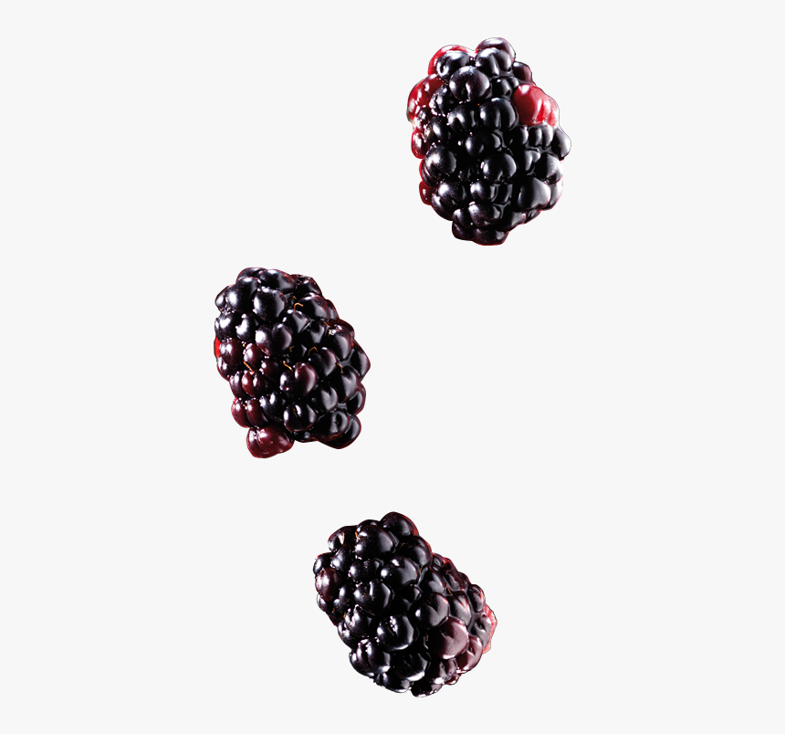 Blackberry, HD Png Download