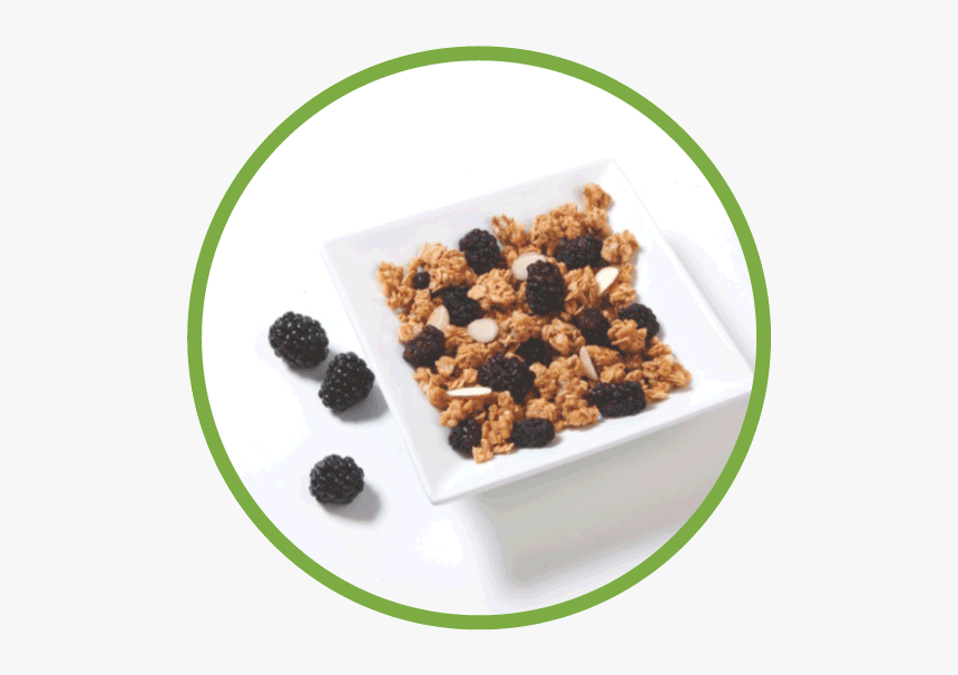 Blackberry Md Circle - Muesli, HD Png Download