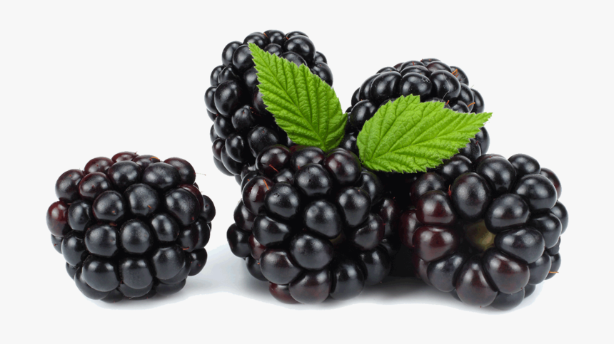 More - Blackberry, HD Png Download
