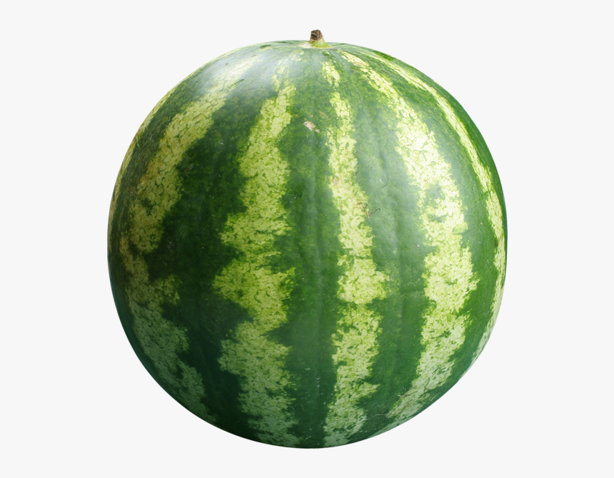 100 Hacks To Make Your Life Easier, HD Png Download