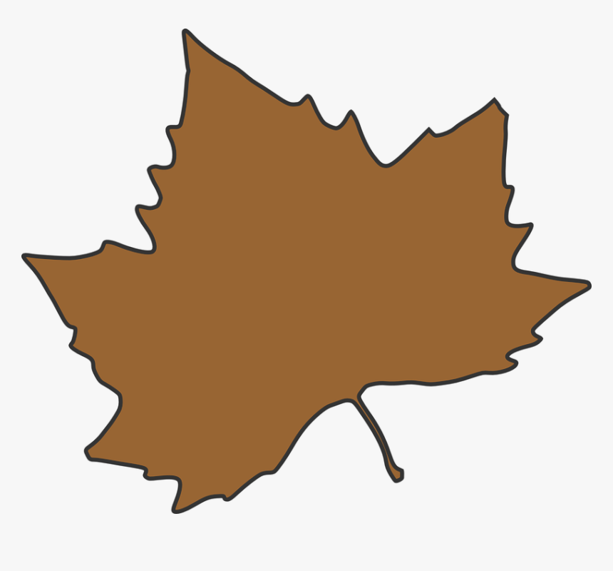 Autumn Leaf Color Clip Art - Red Fall Leaves Clip Art, HD Png Download