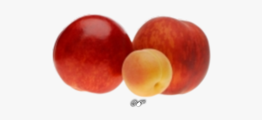Peche Abricot, HD Png Download