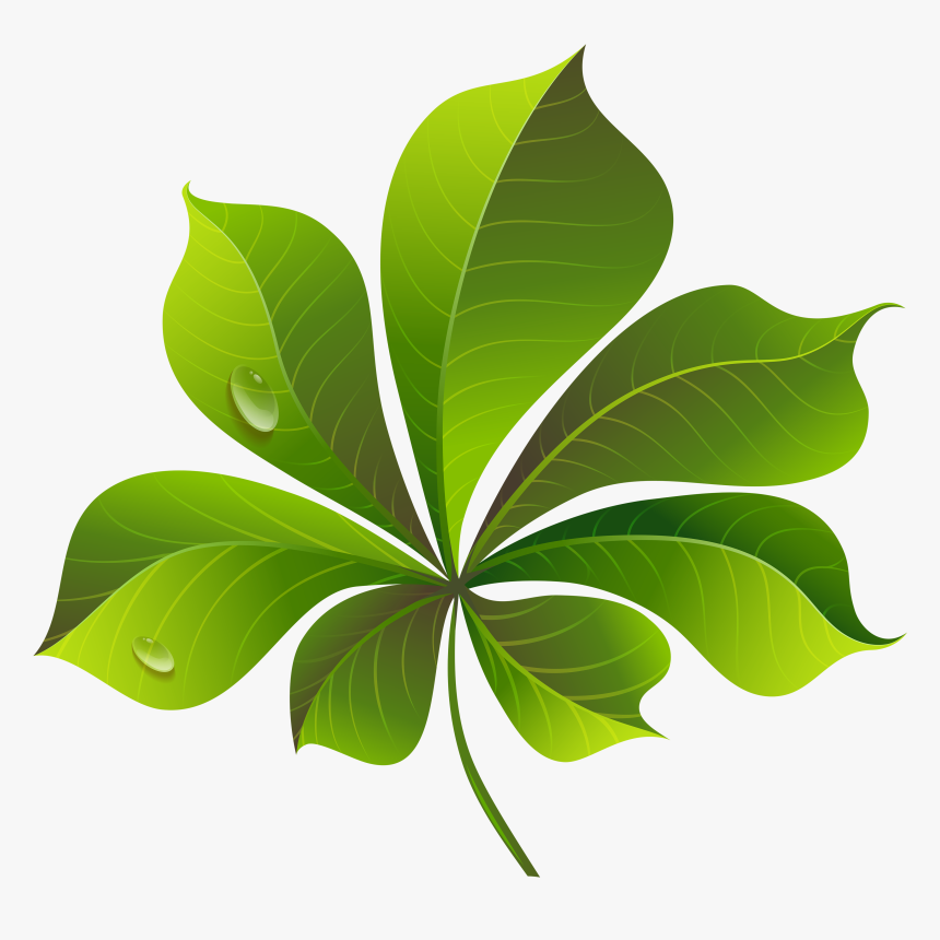 Leaves Clipart Png - Leaf Clip Art Png, Transparent Png