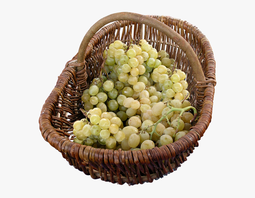 Tube Fruit - Корзина С Виноградом Пнг, HD Png Download