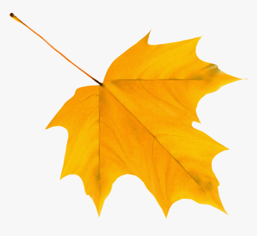 Download Yellow Autumn Leaf Clipart Png Photo - Yellow Autumn Leaf Clipart, Transparent Png