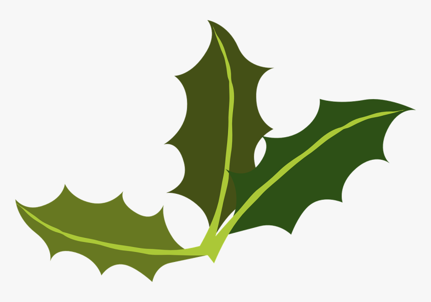 Yaupon Leaf Miner Common - Transparent Holiday Clip Art, HD Png Download